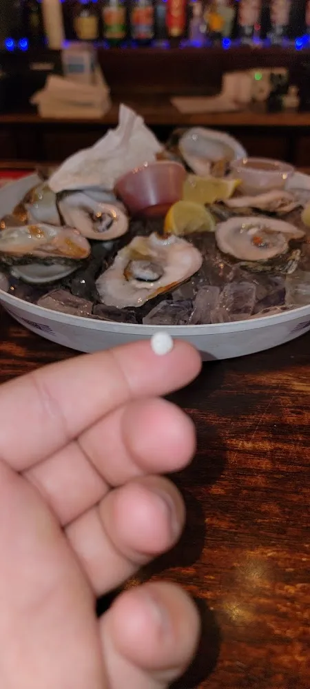 Raw or Fried Oysters